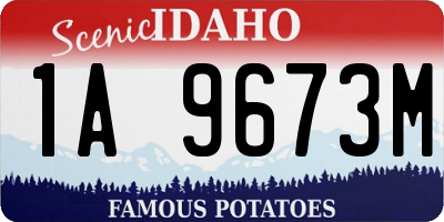 ID license plate 1A9673M