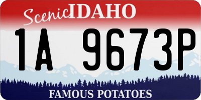 ID license plate 1A9673P