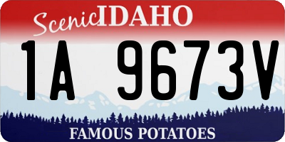 ID license plate 1A9673V