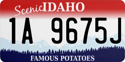 ID license plate 1A9675J