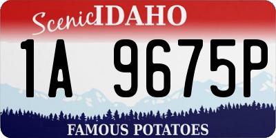 ID license plate 1A9675P