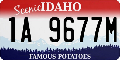 ID license plate 1A9677M