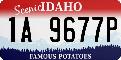 ID license plate 1A9677P