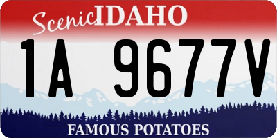 ID license plate 1A9677V