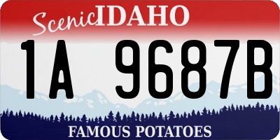 ID license plate 1A9687B