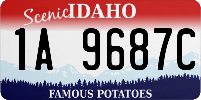 ID license plate 1A9687C