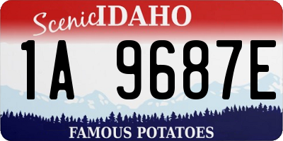 ID license plate 1A9687E