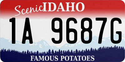 ID license plate 1A9687G