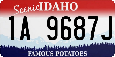 ID license plate 1A9687J