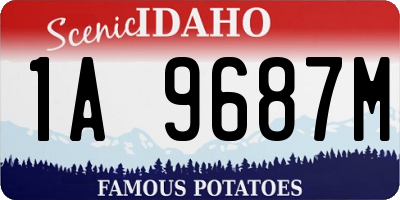 ID license plate 1A9687M