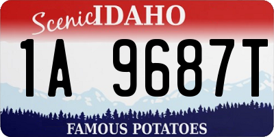 ID license plate 1A9687T