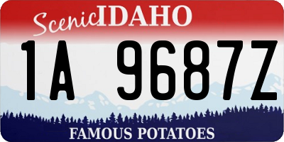 ID license plate 1A9687Z