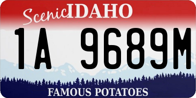 ID license plate 1A9689M