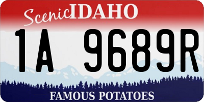 ID license plate 1A9689R