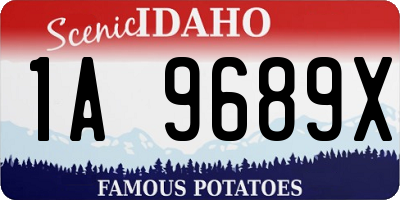 ID license plate 1A9689X