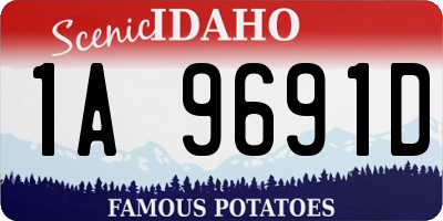 ID license plate 1A9691D
