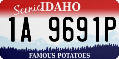 ID license plate 1A9691P
