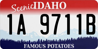 ID license plate 1A9711B
