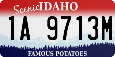 ID license plate 1A9713M