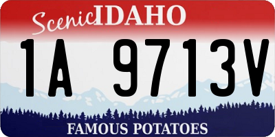 ID license plate 1A9713V