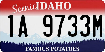 ID license plate 1A9733M