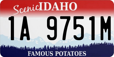 ID license plate 1A9751M