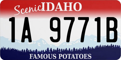 ID license plate 1A9771B