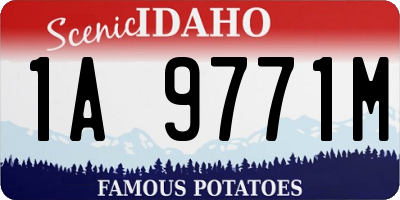 ID license plate 1A9771M