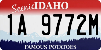 ID license plate 1A9772M