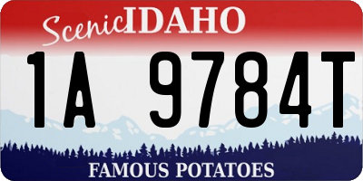 ID license plate 1A9784T