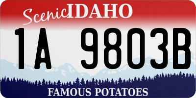 ID license plate 1A9803B