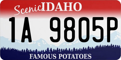 ID license plate 1A9805P