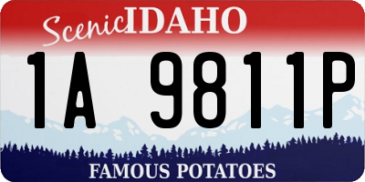 ID license plate 1A9811P
