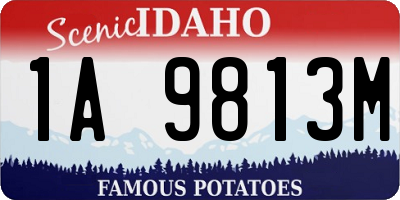 ID license plate 1A9813M