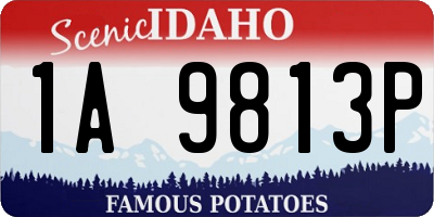 ID license plate 1A9813P