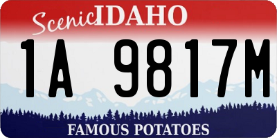 ID license plate 1A9817M