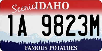 ID license plate 1A9823M