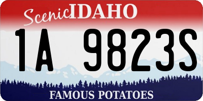 ID license plate 1A9823S