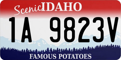 ID license plate 1A9823V