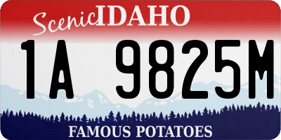 ID license plate 1A9825M