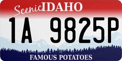 ID license plate 1A9825P