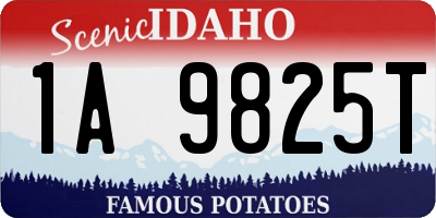 ID license plate 1A9825T