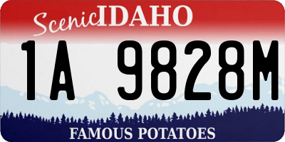 ID license plate 1A9828M