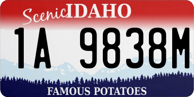 ID license plate 1A9838M