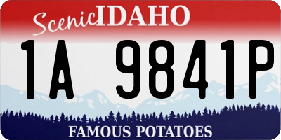 ID license plate 1A9841P