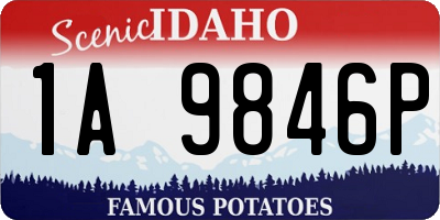 ID license plate 1A9846P