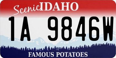ID license plate 1A9846W