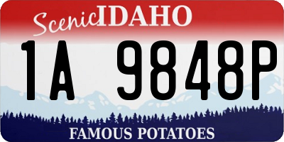 ID license plate 1A9848P