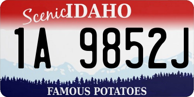 ID license plate 1A9852J