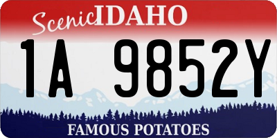 ID license plate 1A9852Y